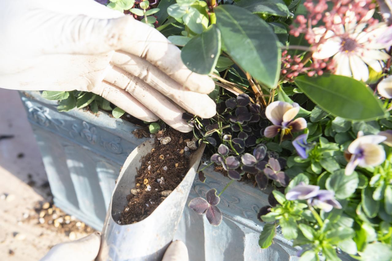 【ガーデニング】人気YouTuber“オニちゃん”の傑作ぞろい！リングバスケット＆寄せ植え（画像23）