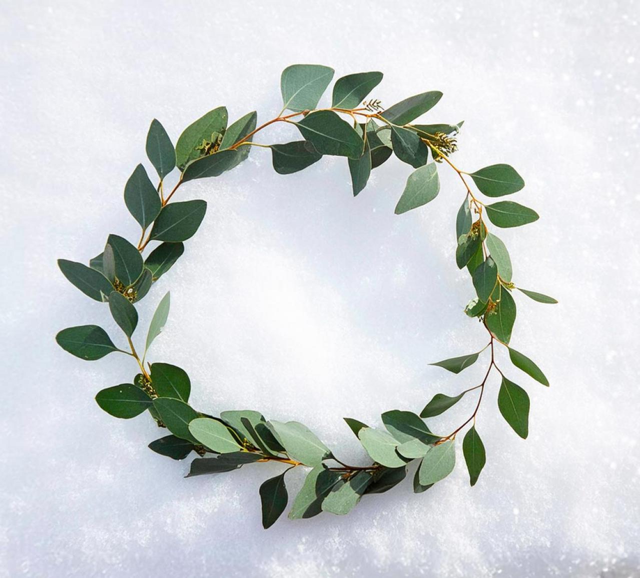 【ガーデニング】身近な自然素材のクリスマス ディスプレー！初めてでも簡単（画像7）