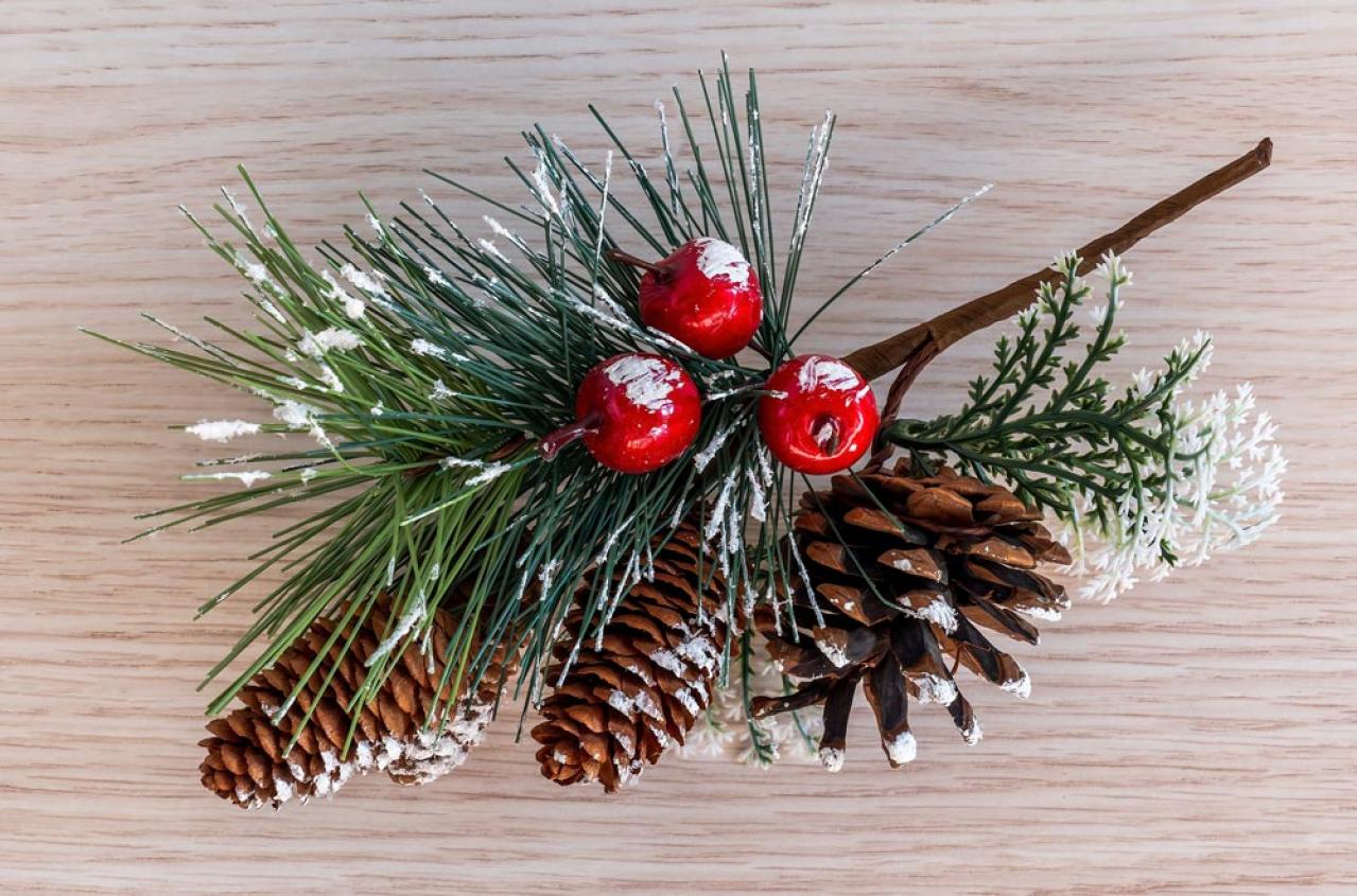 【ガーデニング】身近な自然素材のクリスマス ディスプレー！初めてでも簡単（画像3）