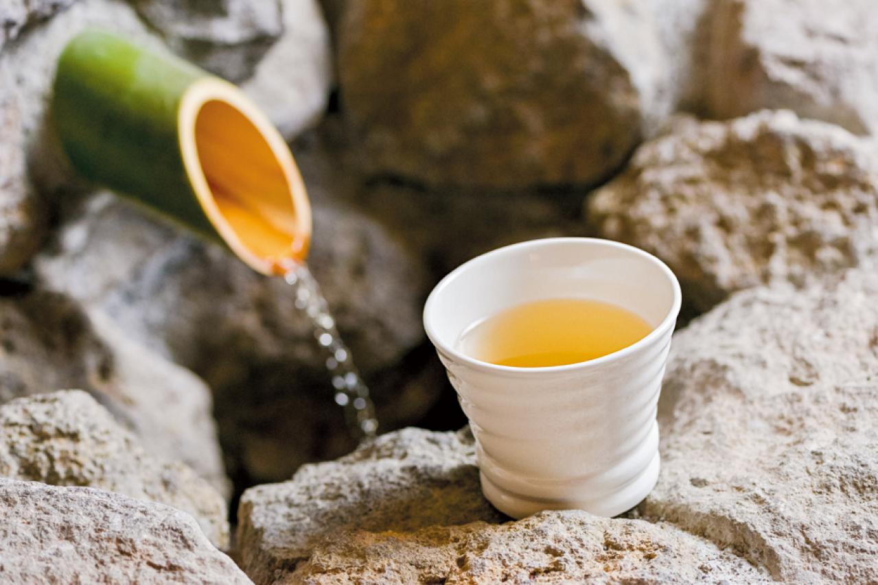 コーヒー色の湯で美肌が叶う！泉質が◎の【温泉宿】3選。温泉ジャーナリストおすすめ（画像5）