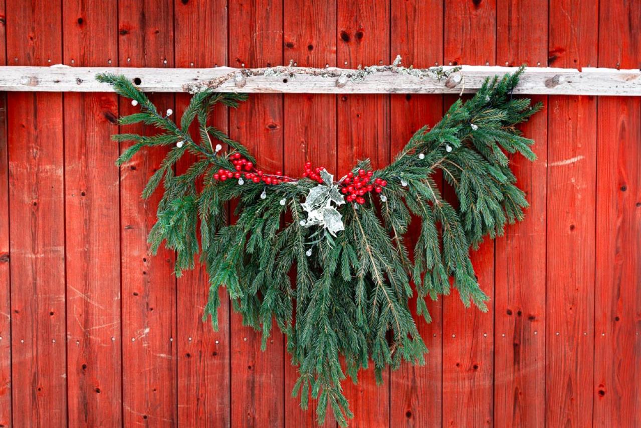 【ガーデニング】身近な自然素材のクリスマス ディスプレー！初めてでも簡単（画像2）