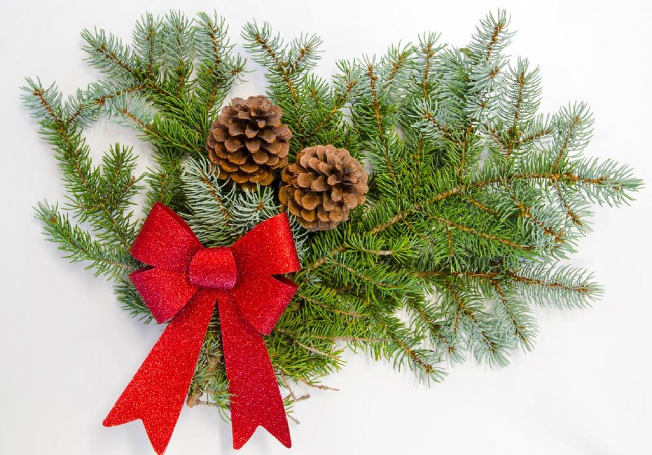 【ガーデニング】身近な自然素材のクリスマス ディスプレー！初めてでも簡単（画像10）