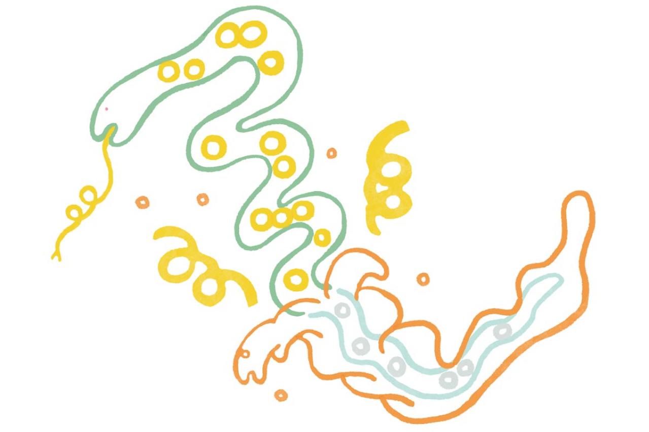 【2025年に大開運】を迎えるには？「絶対に守るべきこと」を神道研究家 羽賀ヒカル先生がアドバイス