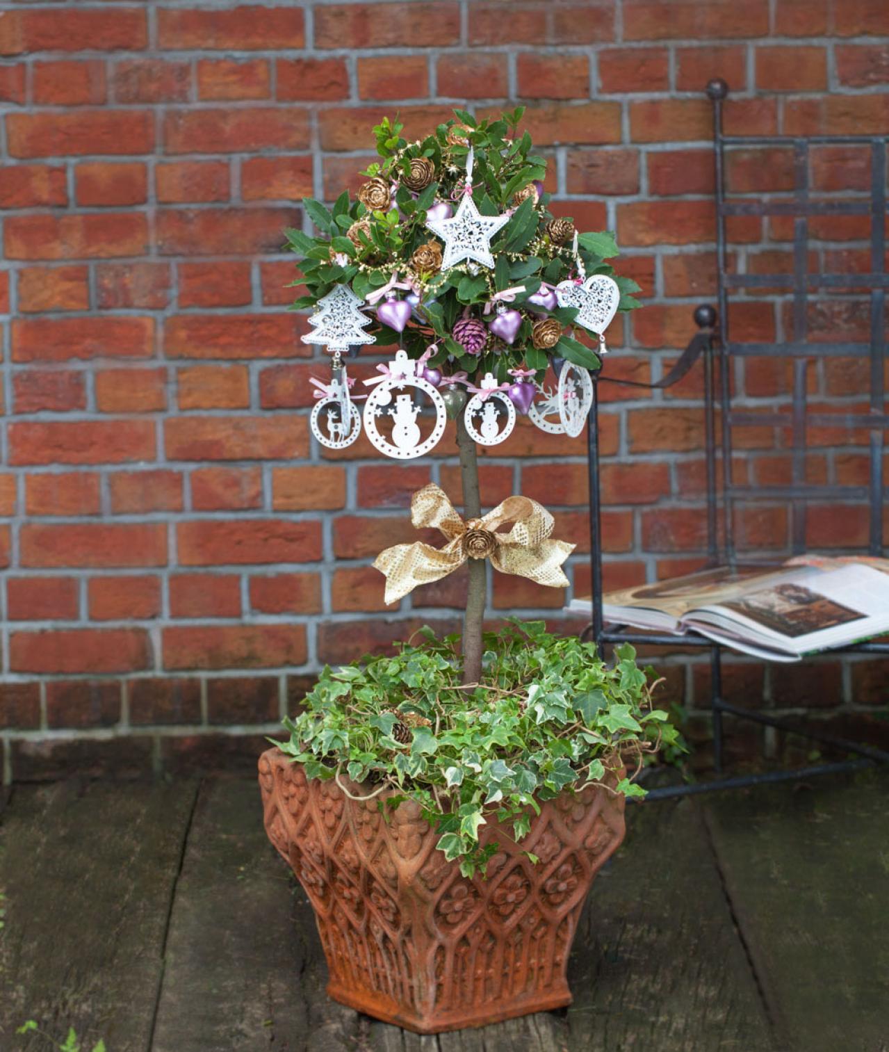 玄関先が華やぐ【ゲッケイジュのクリスマスツリー】料理に活躍するハーブでハレの日に彩りを（画像2）