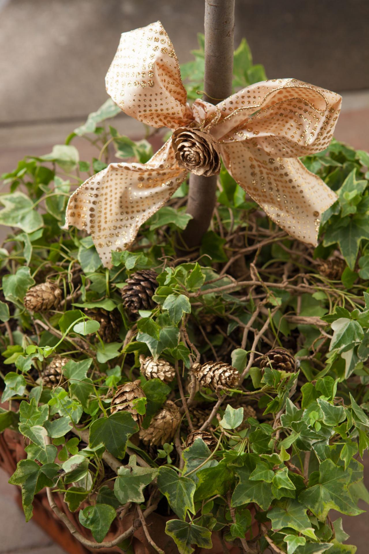 玄関先が華やぐ【ゲッケイジュのクリスマスツリー】料理に活躍するハーブでハレの日に彩りを（画像4）