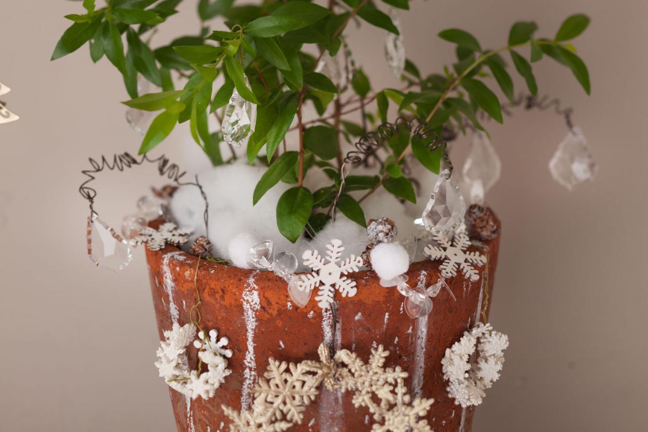 おめでたい木【マートルのクリスマスツリー】甘い香りのハーブで心穏やかに（画像4）