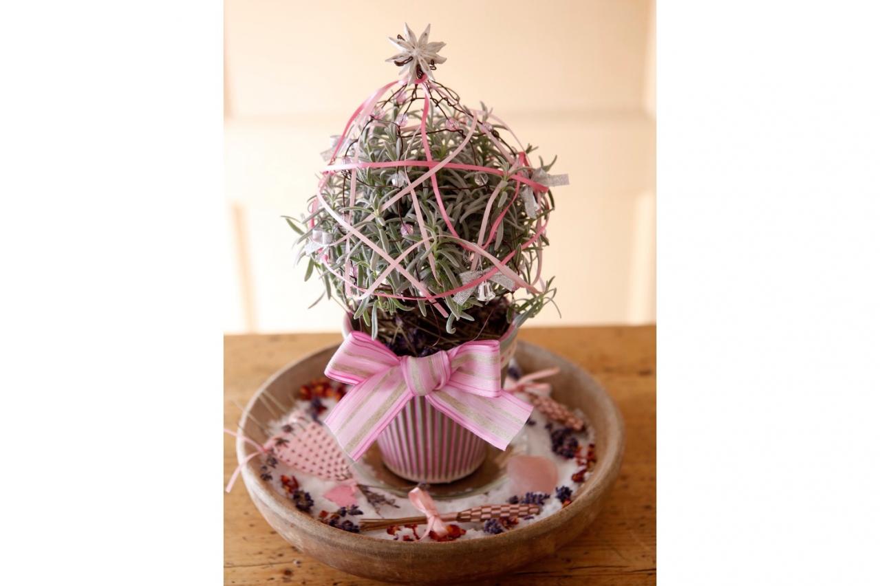 卓上を彩る【ハーブのミニクリスマスツリー】ラヴェンダー、ルーの苗を使って簡単！
