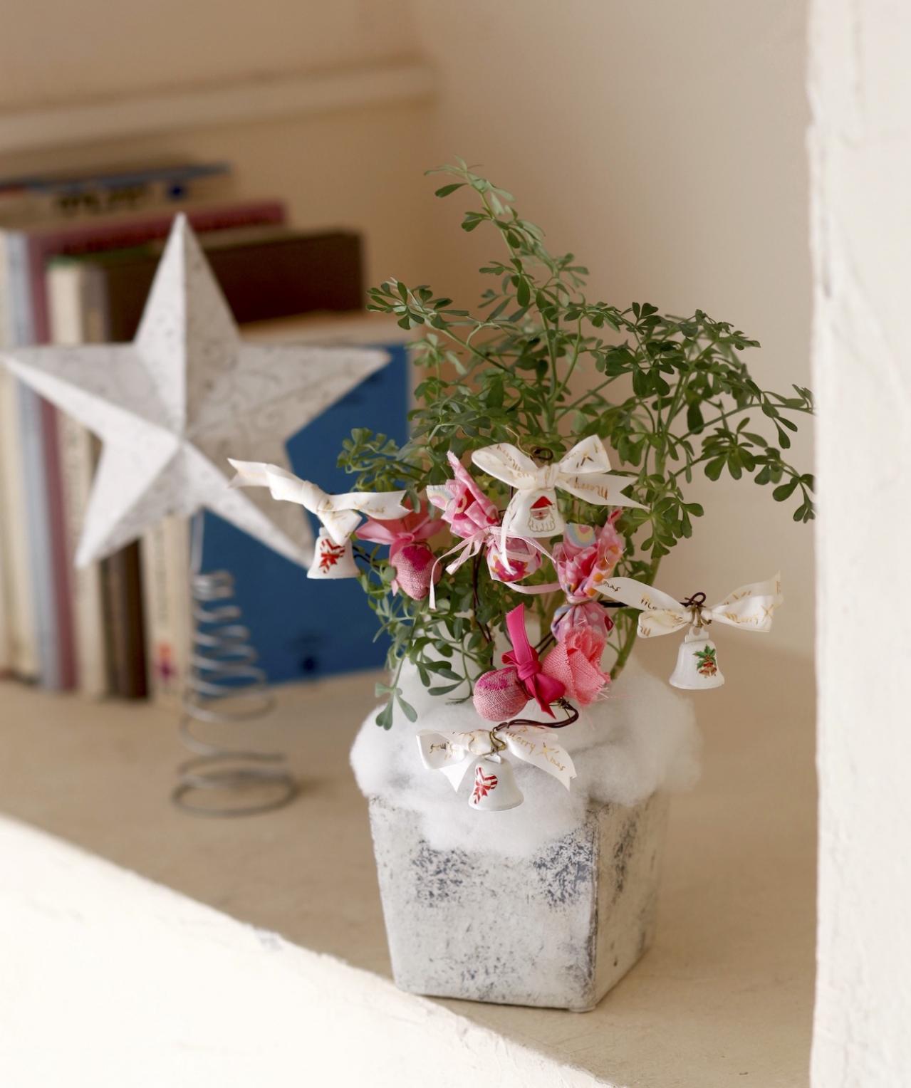 卓上を彩る【ハーブのミニクリスマスツリー】ラヴェンダー、ルーの苗を使って簡単！（画像2）