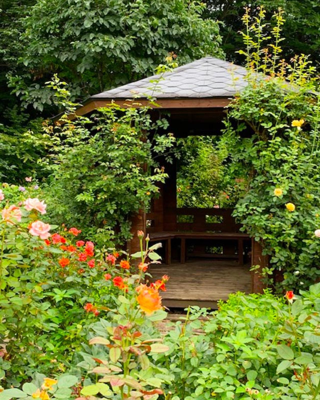 年末までにやっておきたいバラ仕事 ―初心者のバラ育てQ＆A（画像4）