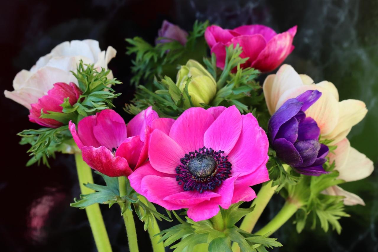 3月の誕生花と花言葉一覧【366日の誕生花と幸せの花言葉】（画像2）