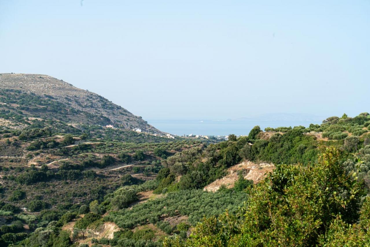 【ガーデニング】知ってる？植物の「科名」や「学名」で栽培のコツがわかる【植物の基本情報】の読み方（画像5）