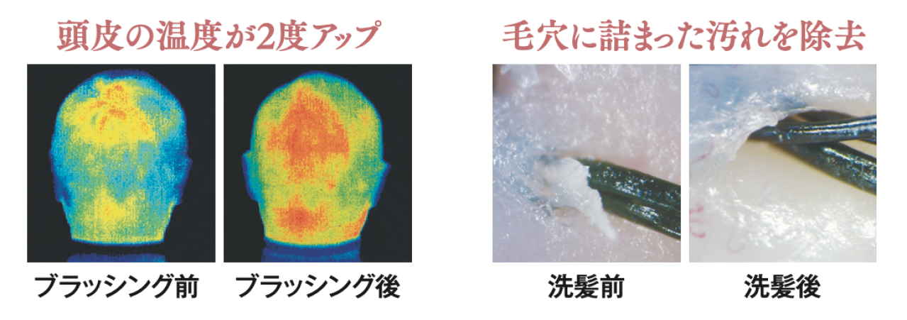 ヘアメイク職人化け子が「これはスゴイ！」とうなったスカルプブラシとは？頭皮と髪の毛がみるみる若返る！（画像5）
