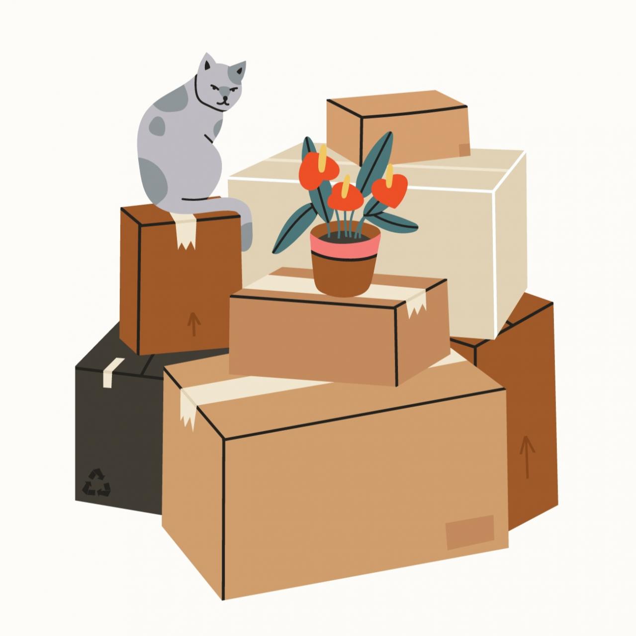 【2025年上半期の運勢｜蠍座】12星座別 山田ありすのHAPPY占い（画像2）