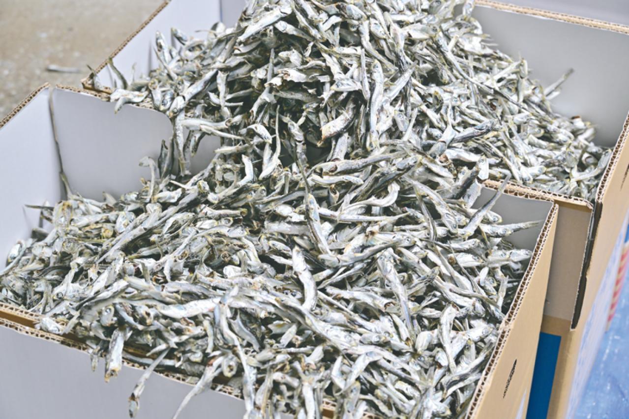 罪悪感ゼロ！おやつ感覚でカルシウム摂取できる「いわしせんべい」が美味しすぎる（画像4）