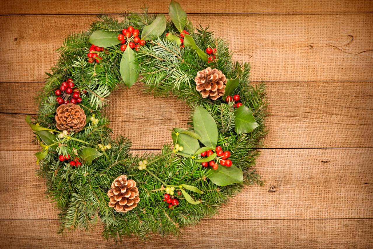 【ガーデニング】かわいい赤い実の植物【7選】　玄関や庭を飾りつけよう（画像5）