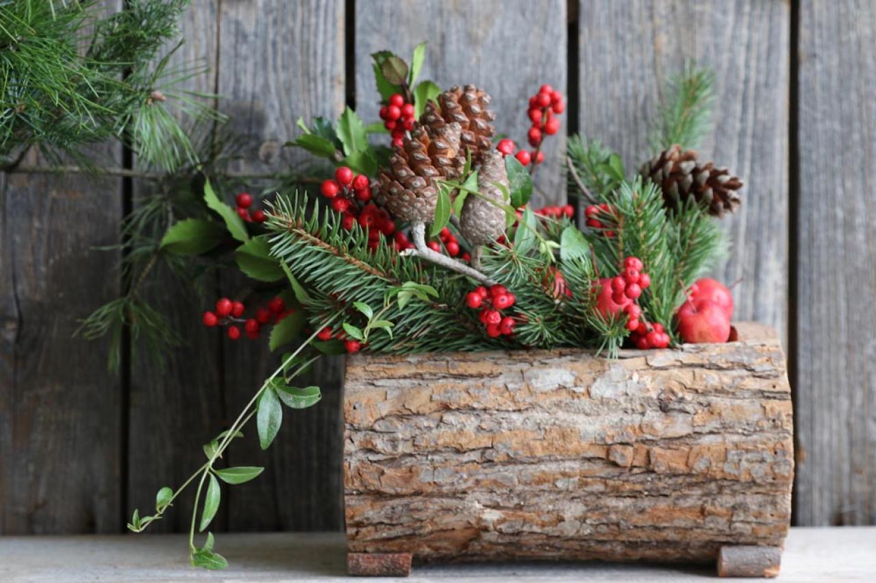 【ガーデニング】かわいい赤い実の植物【7選】　玄関や庭を飾りつけよう（画像2）