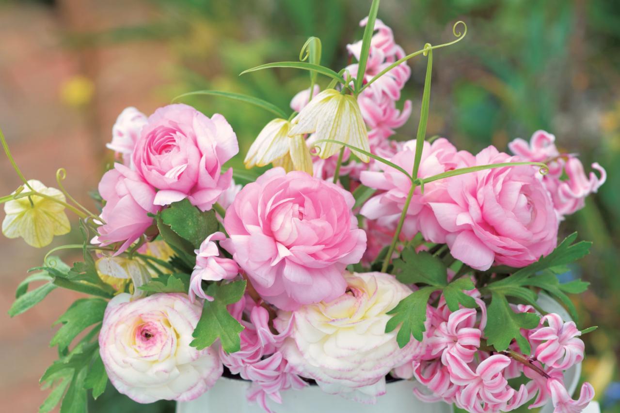 【花のまちがいさがし】「ラナンキュラス」の2つの写真に5つのちがいが。さて、どこ？（画像3）