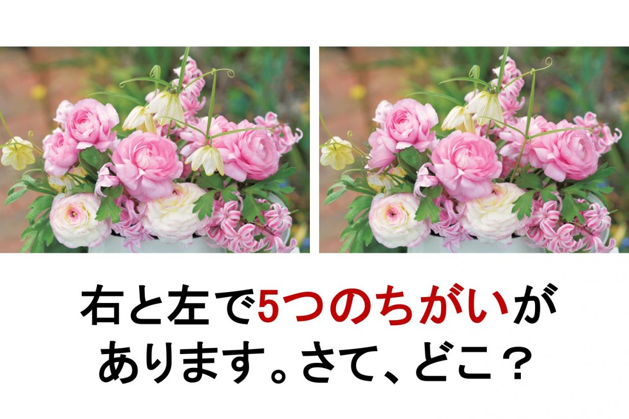 【花のまちがいさがし】「ラナンキュラス」の2つの写真に5つのちがいが。さて、どこ？