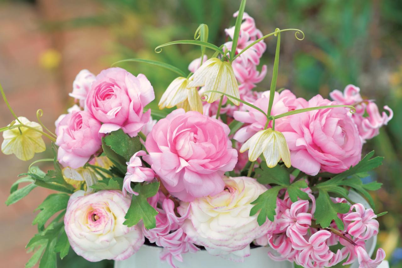 【花のまちがいさがし】「ラナンキュラス」の2つの写真に5つのちがいが。さて、どこ？（画像2）