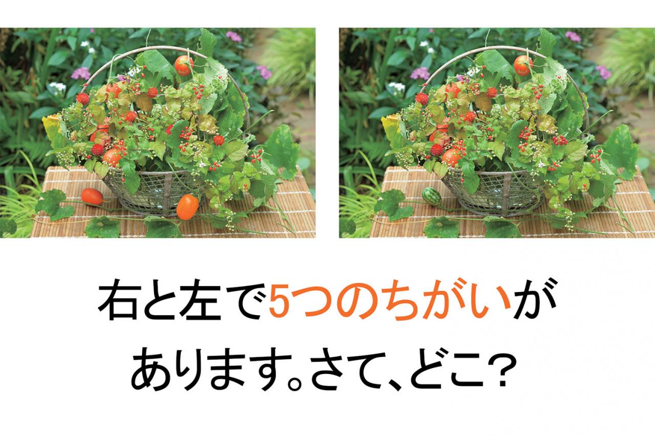 【花の間違い探し】「小さい秋」の2つの写真に5つのちがいが。さて、どこ？