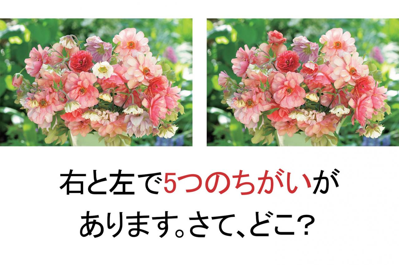 【花のまちがいさがし】「春爛漫」の2つの写真に5つのちがいが。さて、どこ？