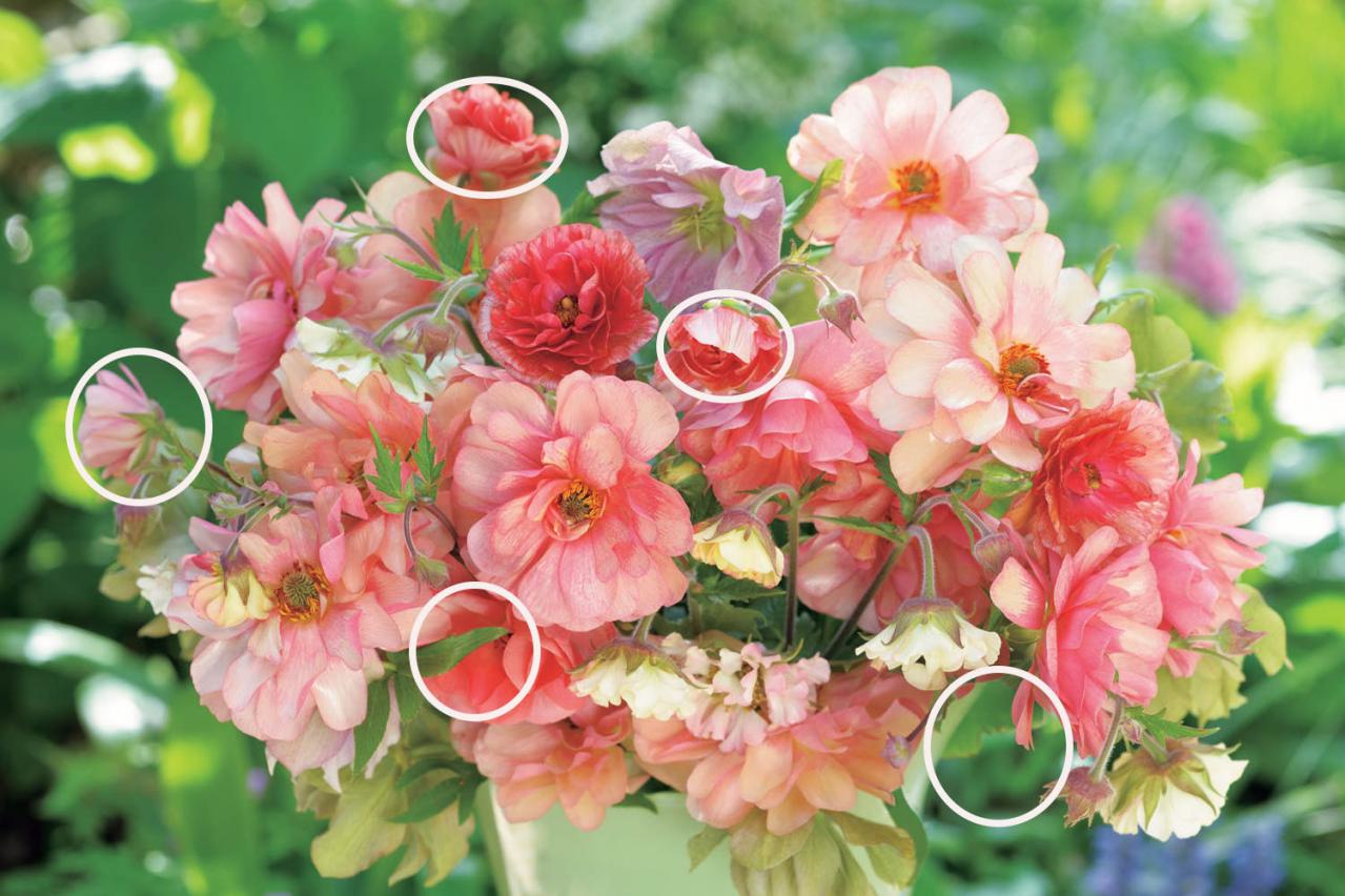 【花のまちがいさがし】「春爛漫」の2つの写真に5つのちがいが。さて、どこ？（画像4）