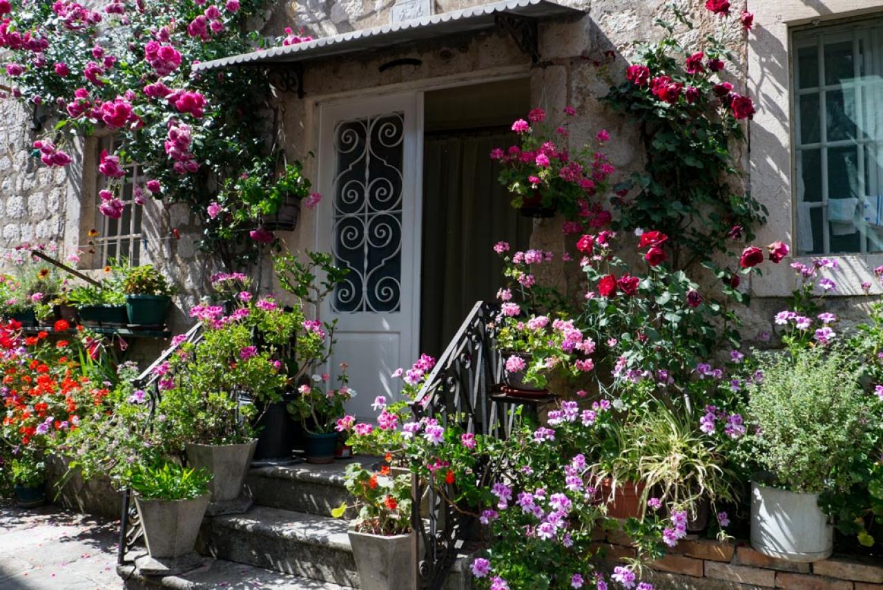 【ガーデニング】バラの基礎体力をつける【元肥】の与え方とは？ 初心者のバラ育てQ＆A（画像3）