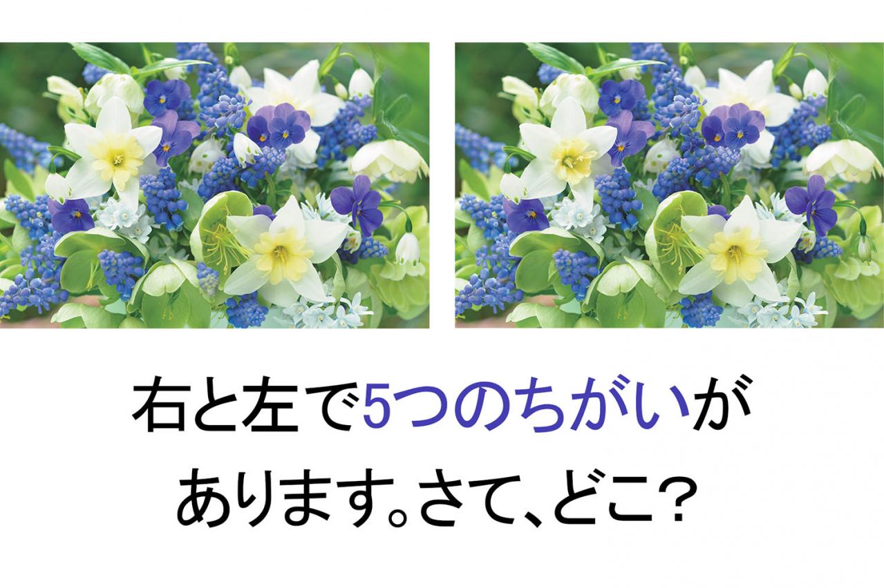 【花のまちがいさがし】「春の訪れ」の2つの写真に5つのちがいが。さて、どこ？