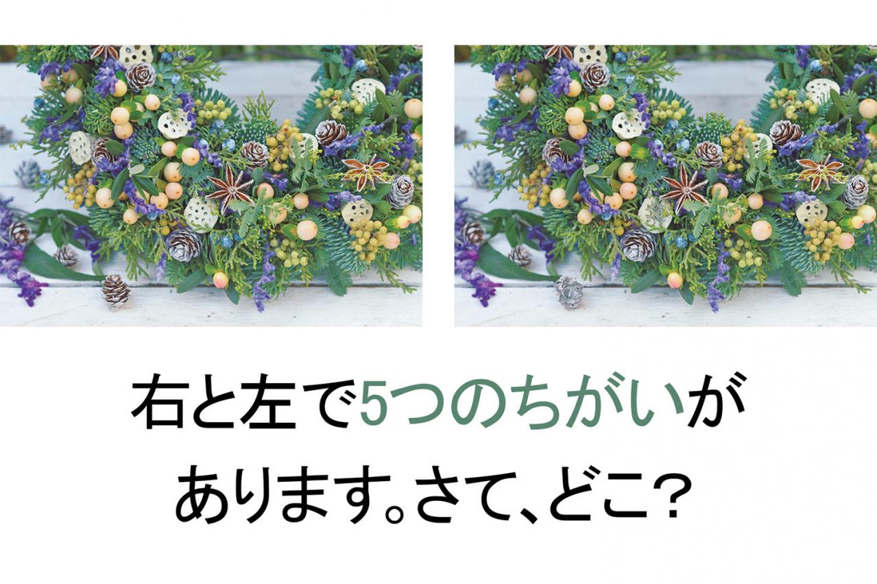 【花の間違い探し】「恵みのリース」の2つの写真に5つのちがいが。さて、どこ？