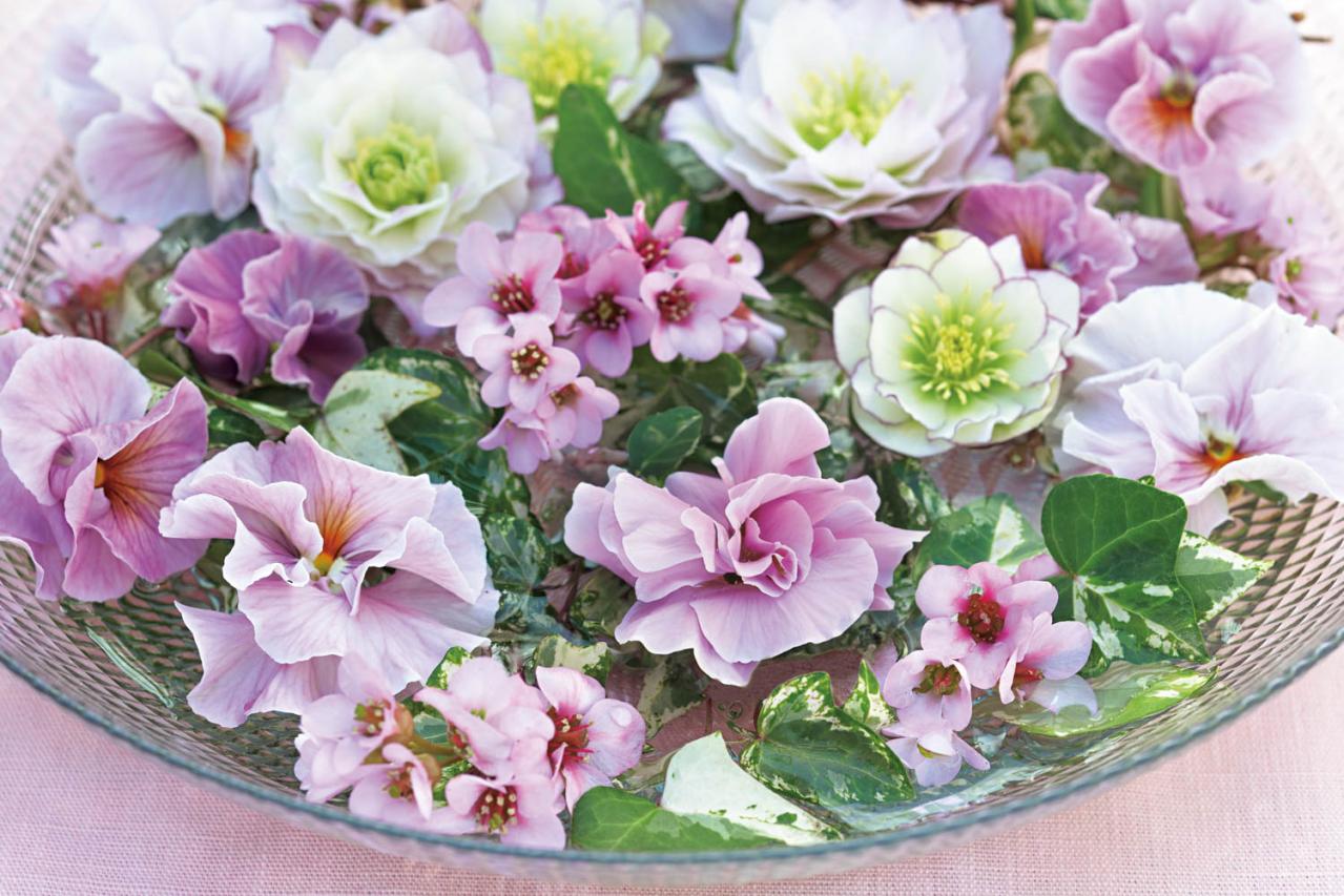 【花の間違い探し】「クリスマスローズ」の2つの写真に5つのちがいが。さて、どこ？（画像3）