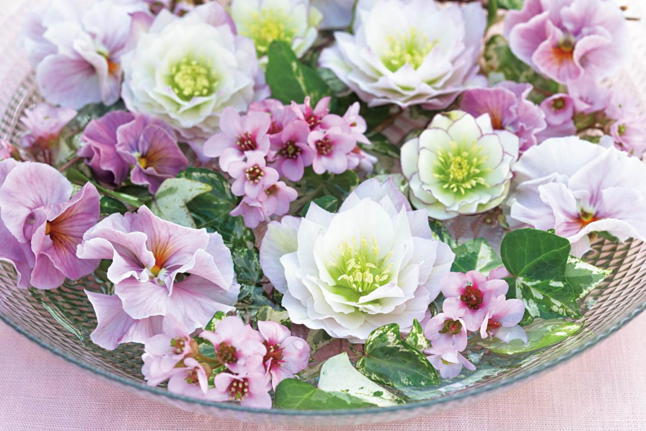 【花の間違い探し】「クリスマスローズ」の2つの写真に5つのちがいが。さて、どこ？（画像2）