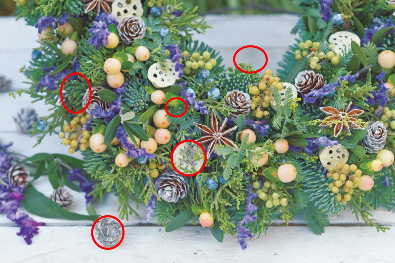 【花の間違い探し】「恵みのリース」の2つの写真に5つのちがいが。さて、どこ？（画像4）