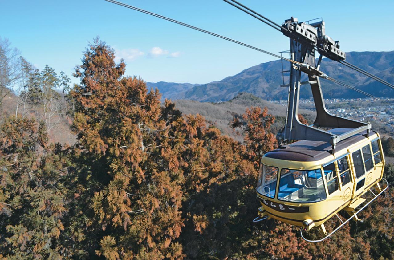 年間300万人以上が参拝に訪れる神社も【春の花の絶景】3選。「一度は行くべき」旅のプロ絶賛スポット（画像5）