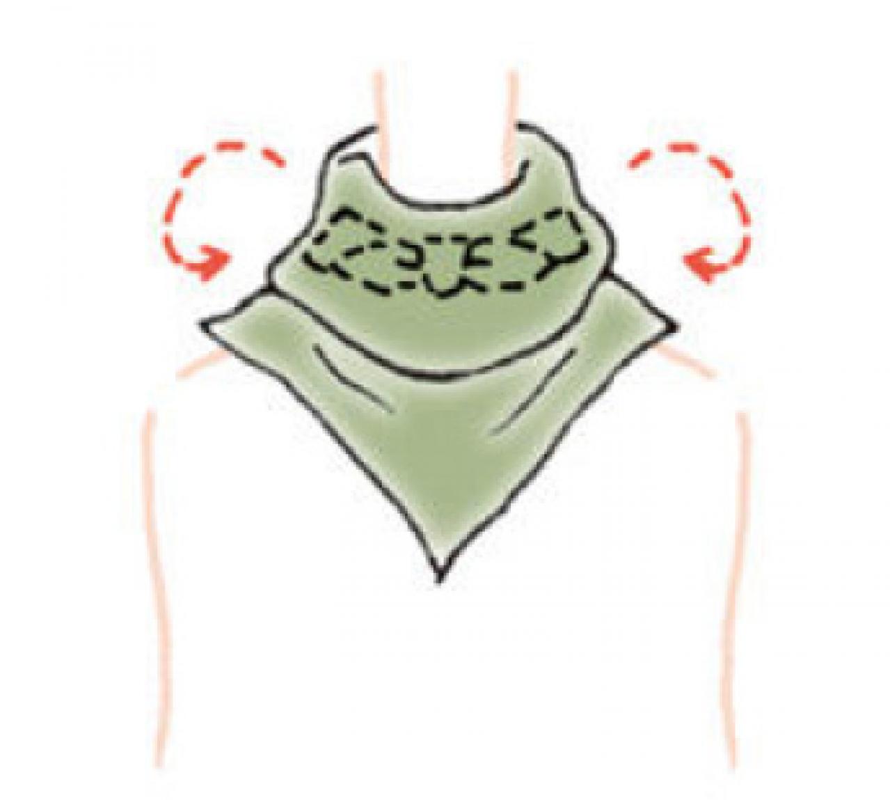 品良く優雅な定番スカーフの【巻き方2選】「オフタートル」と「アスコットタイ」（画像6）