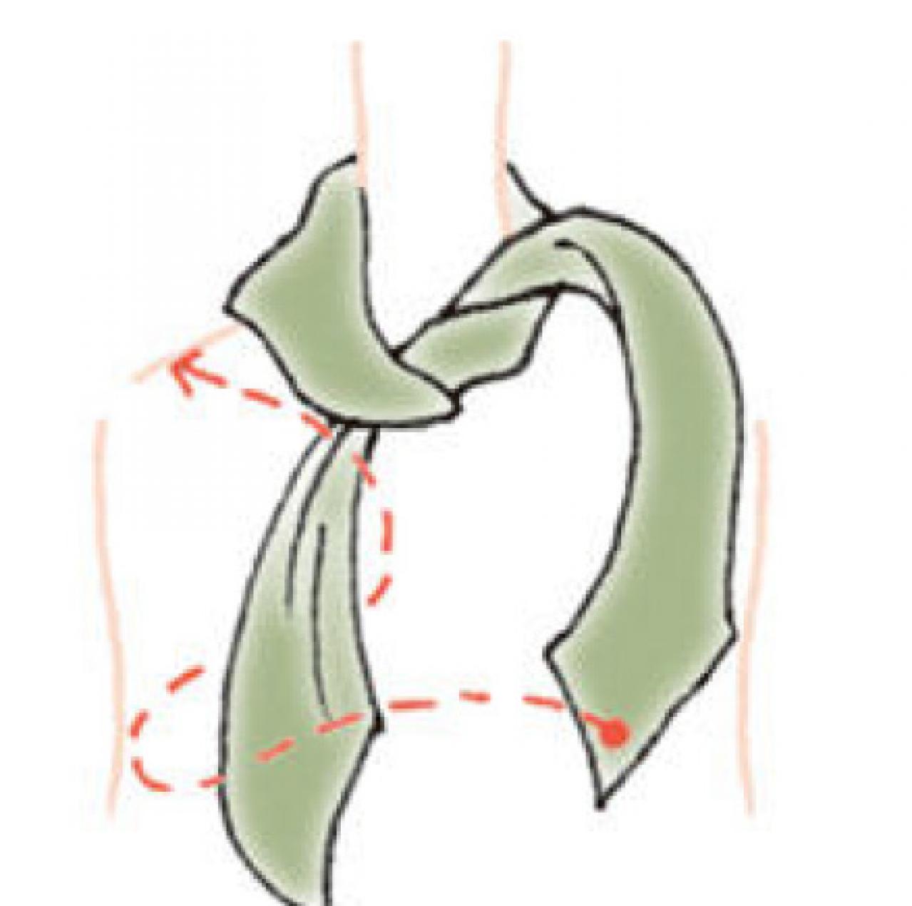 品良く優雅な定番スカーフの【巻き方2選】「オフタートル」と「アスコットタイ」（画像13）