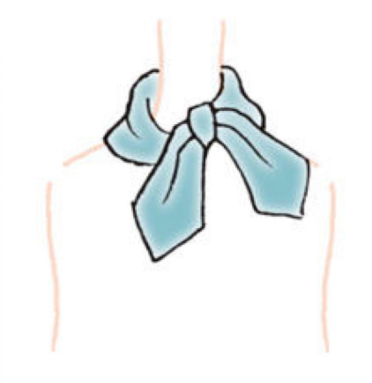 きちんとした人に見える【スカーフの巻き方】柄も生かせる「ネックタイト」（画像11）