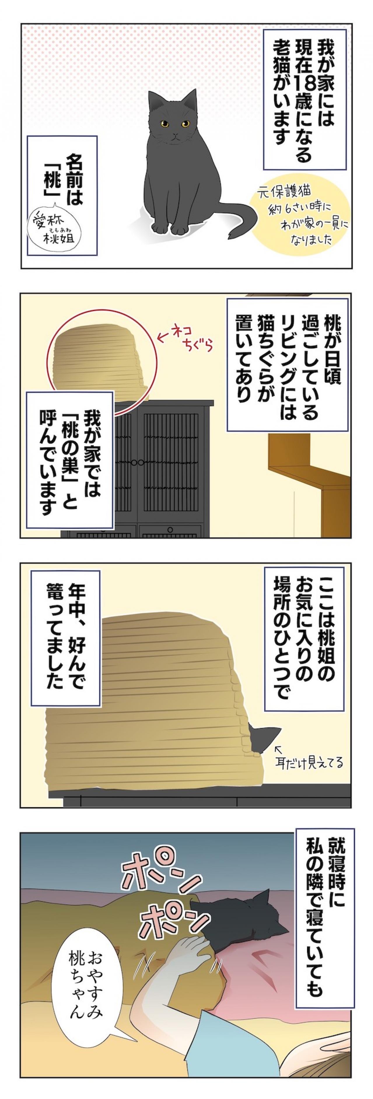 【老猫マンガ】年々できることが減るものの、姿を見られるだけで幸せ♡18歳の元保護猫・桃姐［＃1］（画像2）