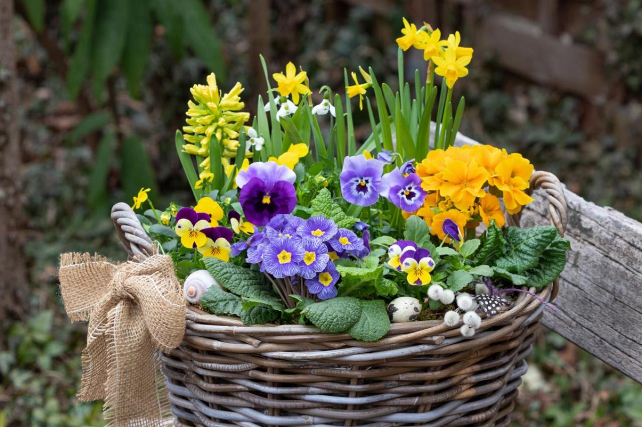 【ガーデニング】寒さに強い草花【6選】春まで咲き続ける寄せ植え