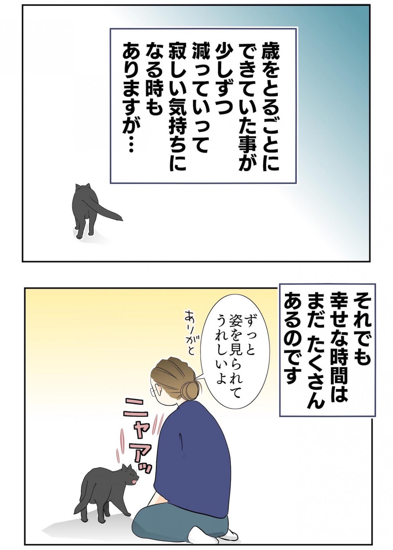 【老猫マンガ】年々できることが減るものの、姿を見られるだけで幸せ♡18歳の元保護猫・桃姐［＃1］（画像4）