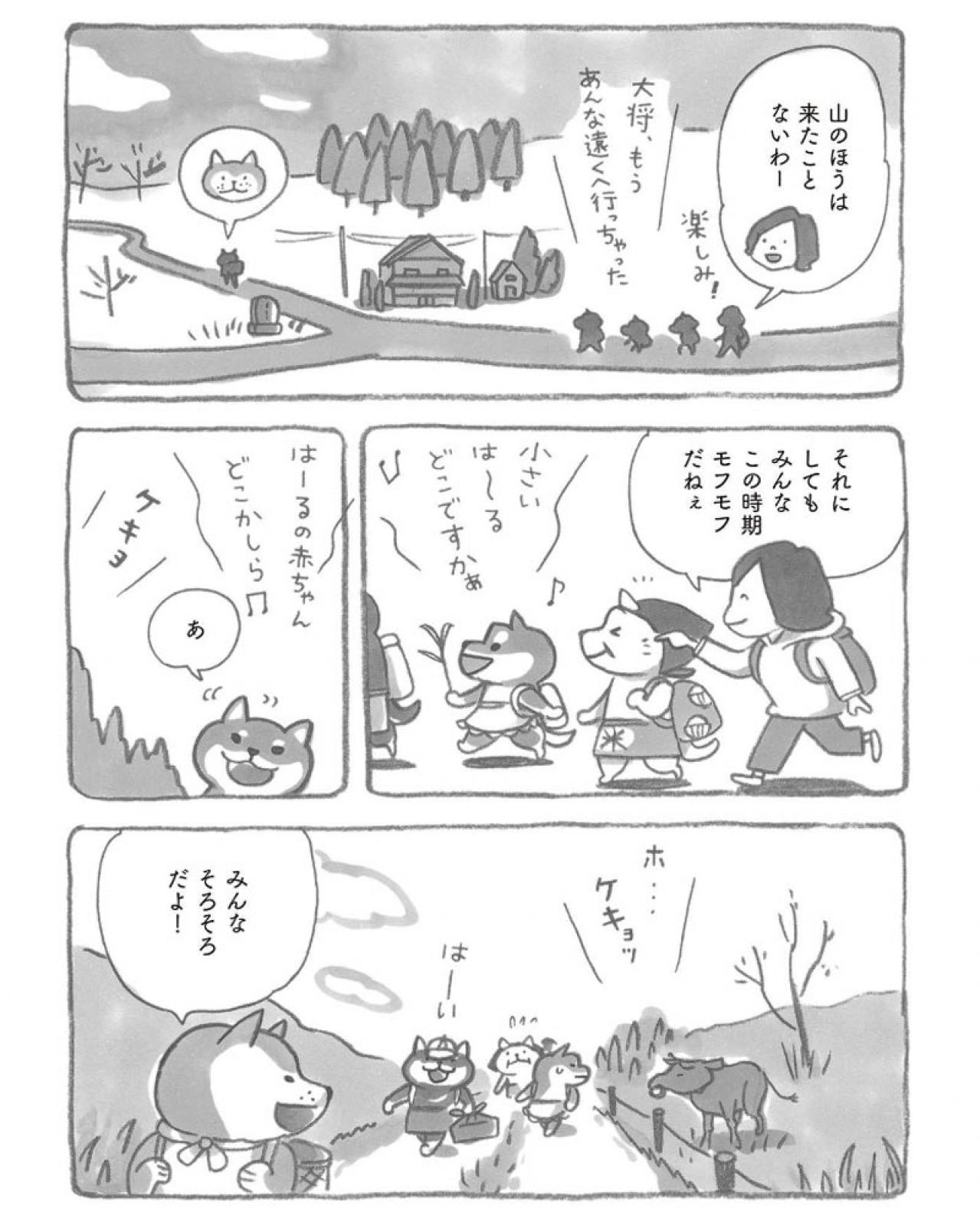 柴犬の大将が2月になると熱が入ることとは？マンガ【柴犬食堂＃1】モフモフ柴犬が「素」に返る姿にキュン！（画像4）