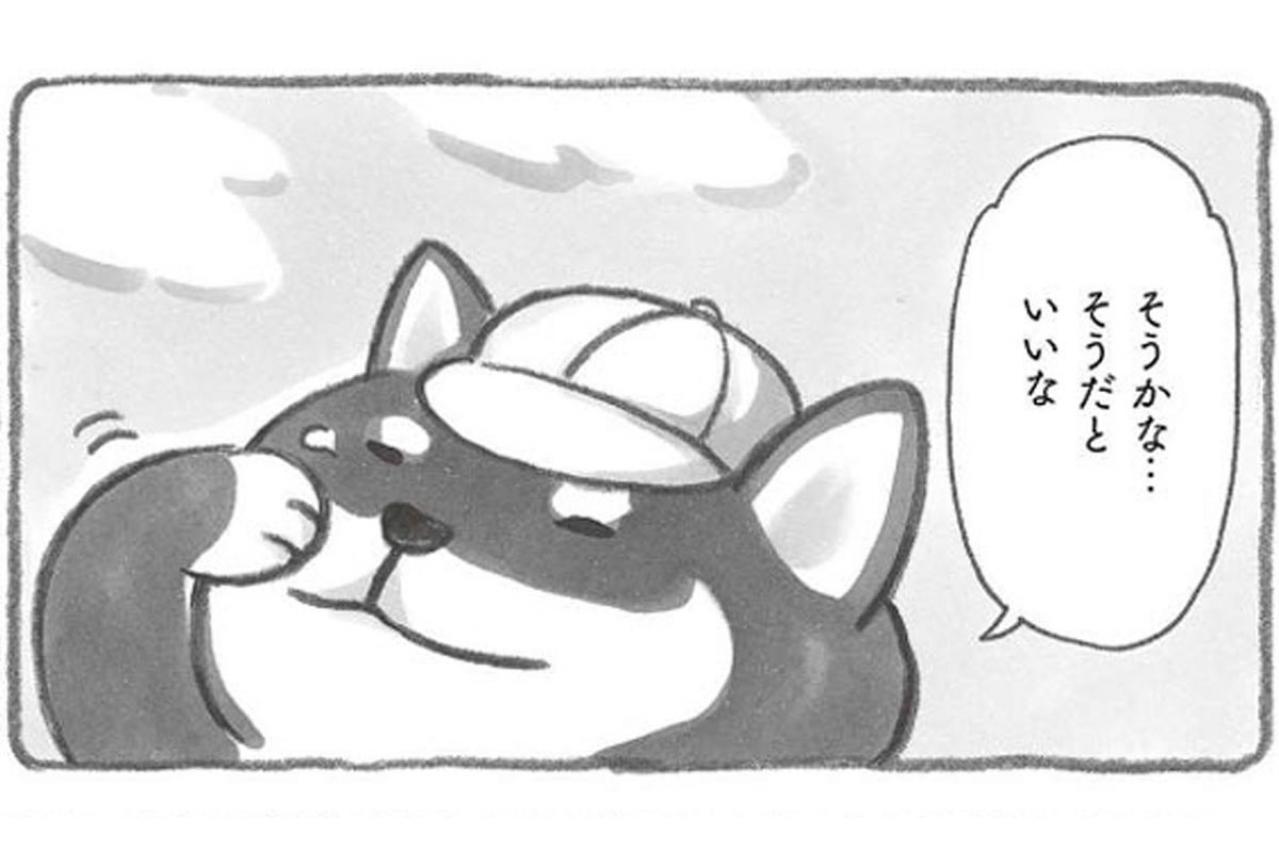 モフモフの柴犬がたそがれるエピソードに思わずほろり…【柴犬食堂#3】