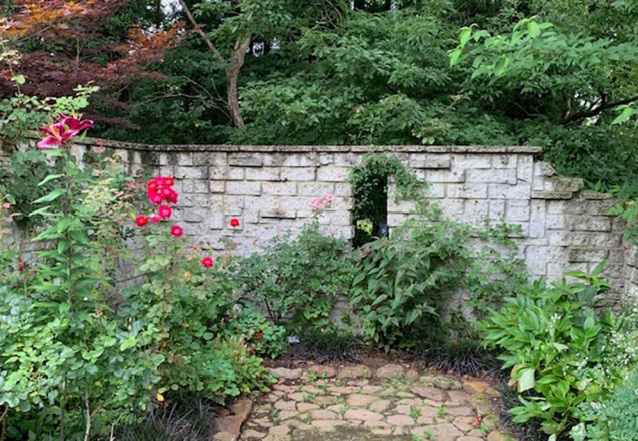 【ガーデニング】寒冷地での冬越しや剪定、どうする？ 初心者のバラ育てQ＆A（画像4）