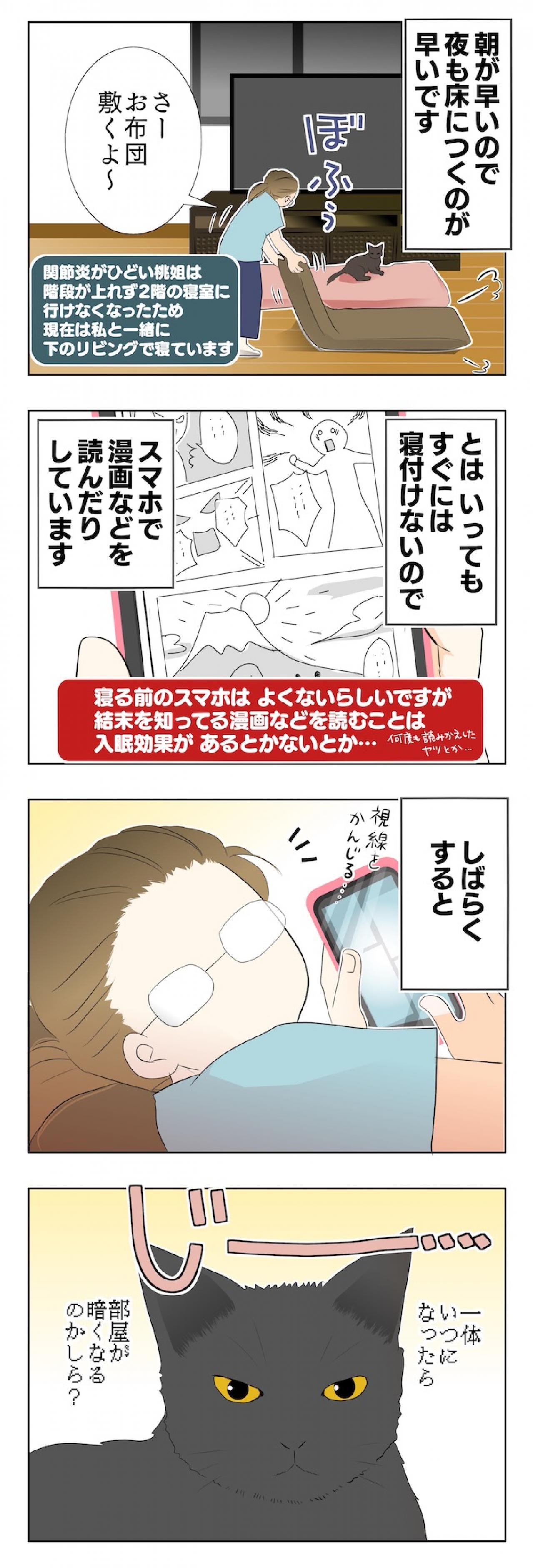 【マンガ・老猫日誌 ＃3】猫、圧をかける？ 19歳の元保護猫・桃姐（画像2）