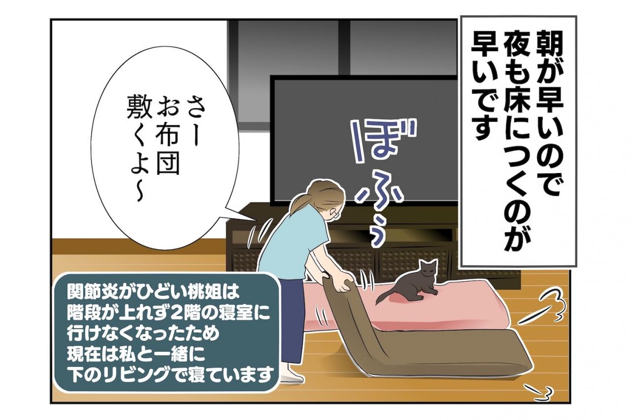 【老猫マンガ】猫、圧をかける？ 18歳の元保護猫・桃姐［＃3］