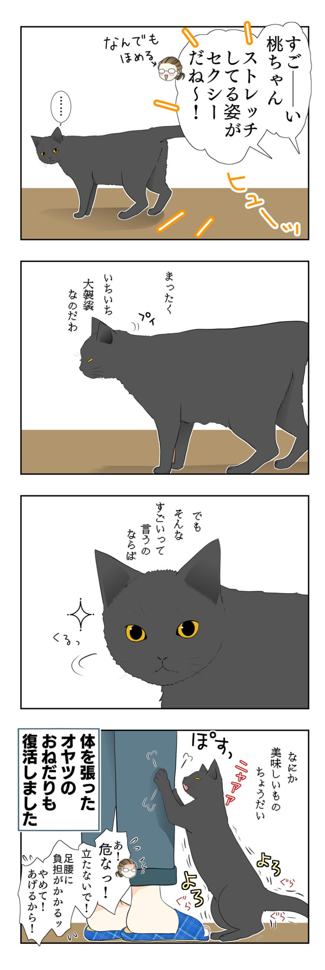 【老猫マンガ】ソレンシア接種から1カ月…。18歳の元保護猫・桃姐［＃4］（画像3）