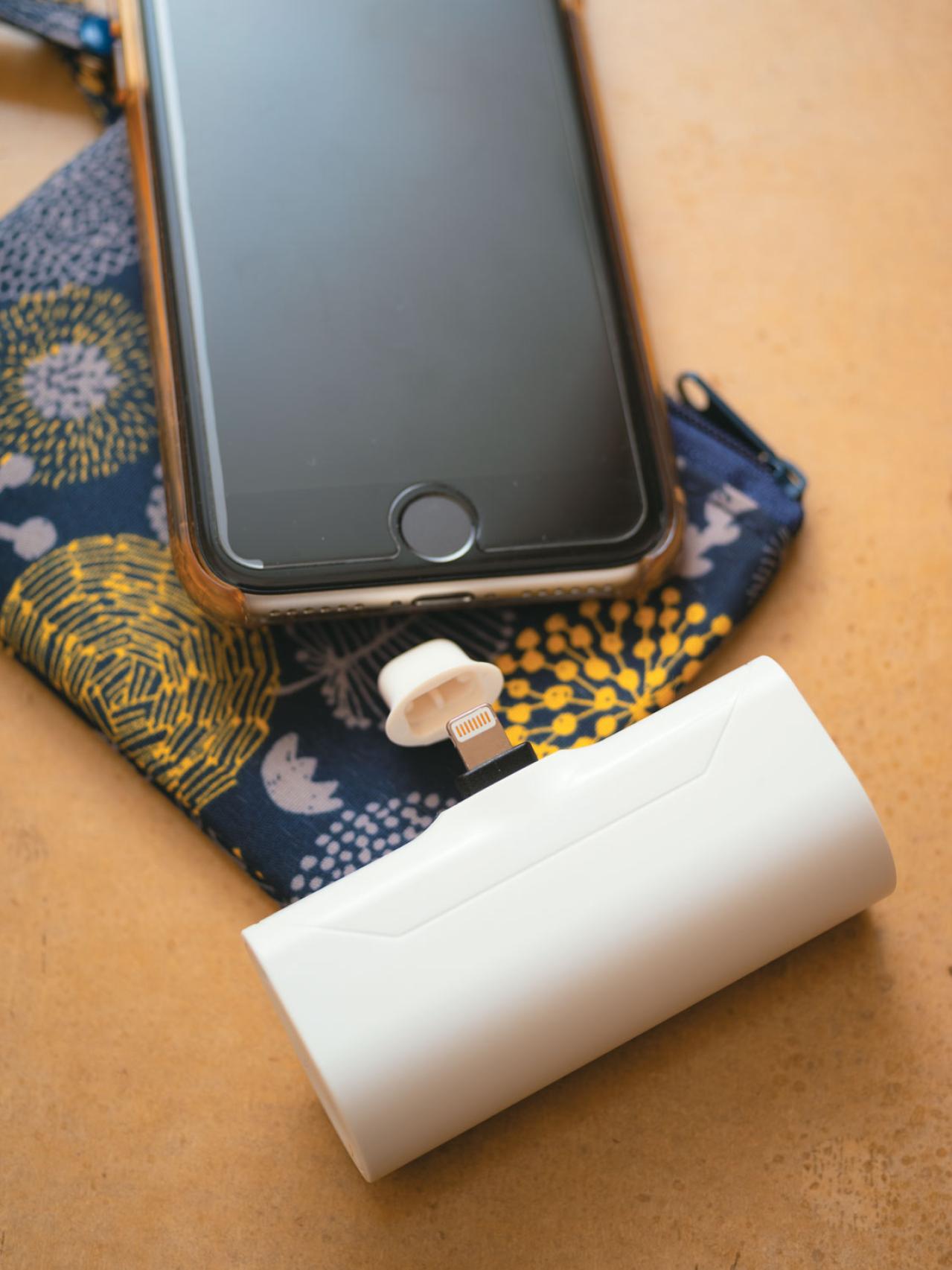 月々12万円で暮らす【ショコラさん】旅行代の捻出方法は？ 愛用の旅グッズも公開！（画像11）