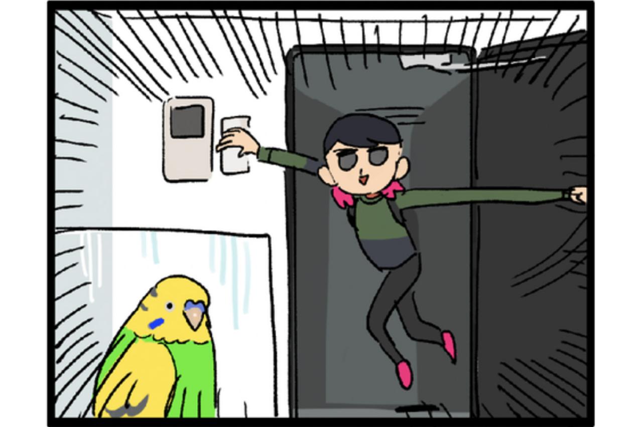 【鳥マンガ＃3】塩対応なインコ、デレるインコ。ホームカメラで見てみると！？