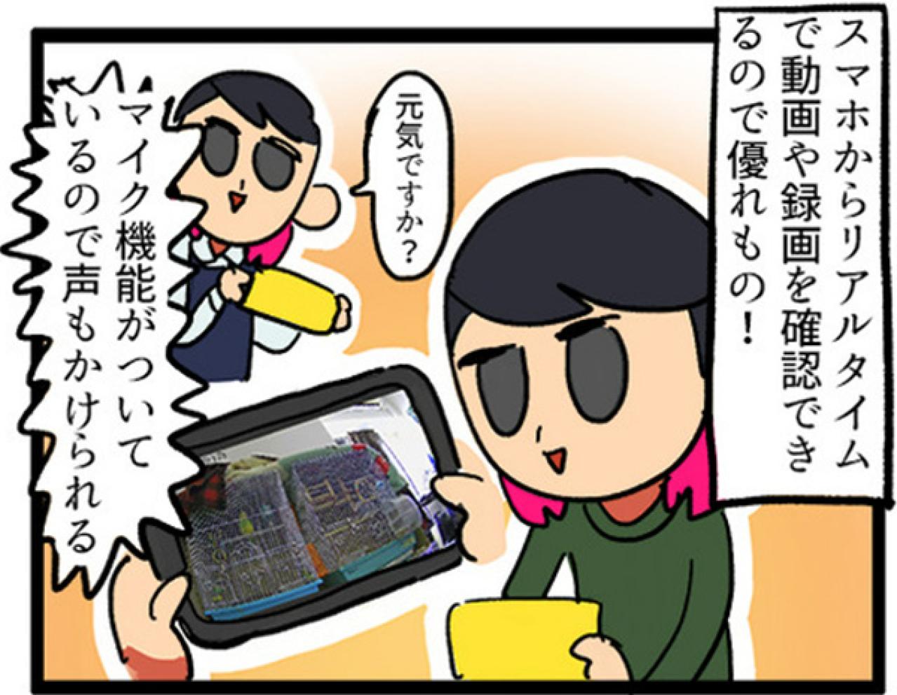 【鳥マンガ＃3】塩対応なインコ、デレるインコ。ホームカメラで見てみると！？（画像10）