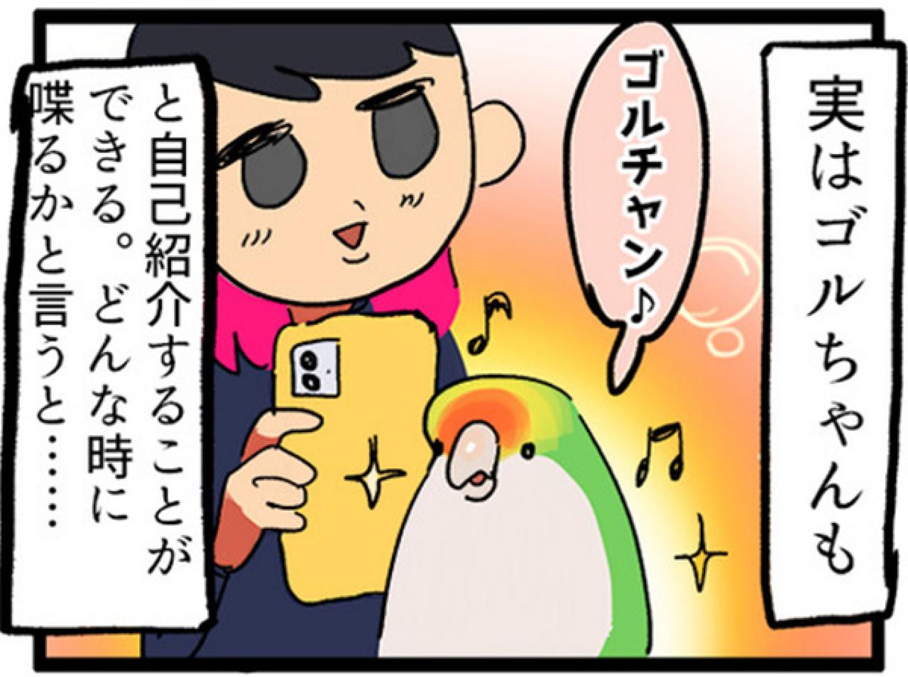 【鳥マンガ＃2】全てを破壊するインコとは！？インコのおしゃべり（画像11）