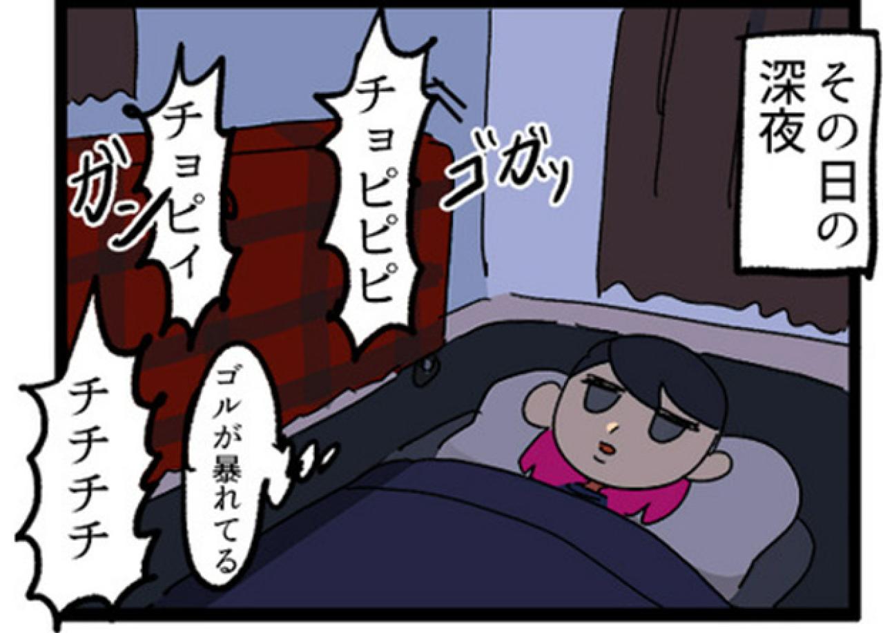 【鳥マンガ＃2】全てを破壊するインコとは！？インコのおしゃべり（画像6）